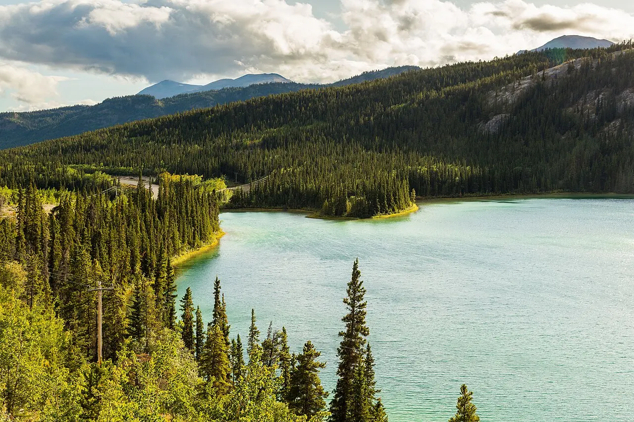 The vivid green water of Emerald Lake near Carcross in the southern Yukon, ringed by spruce and low mountains