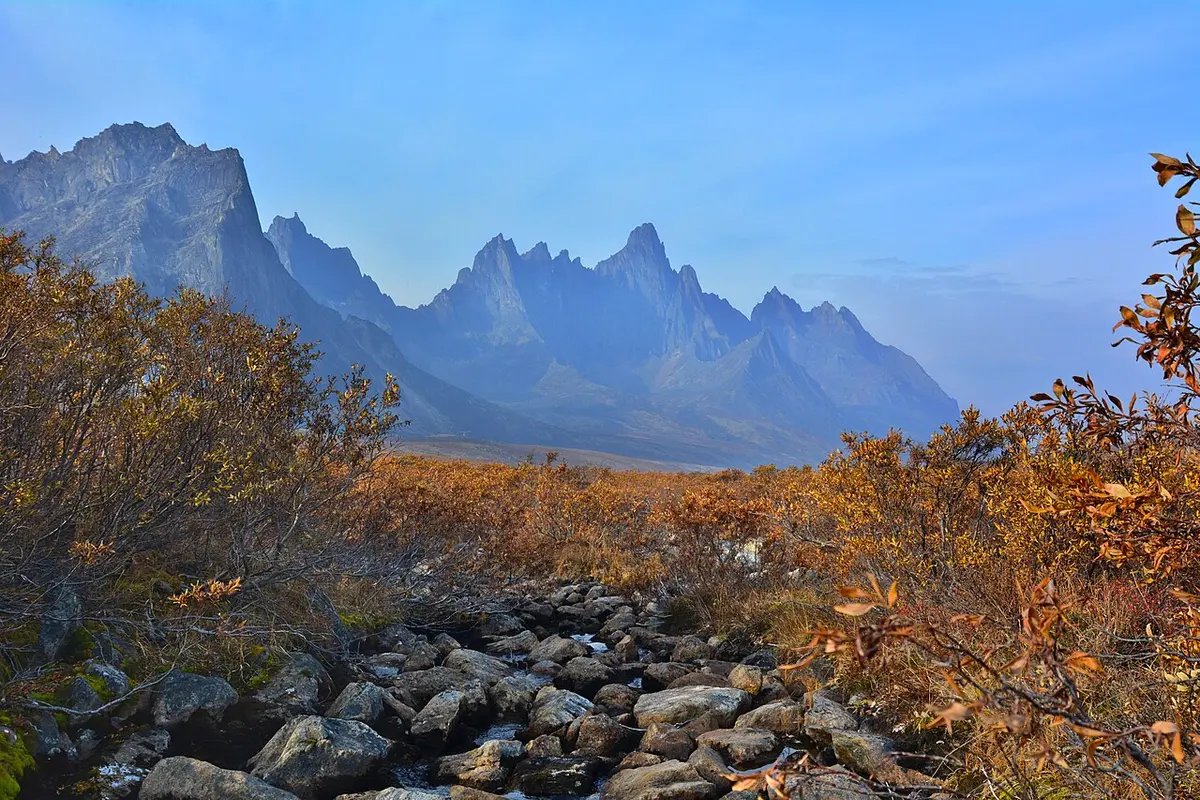 The jagged dark peaks of Tombstone Mountain rising above orange and red autumn tundra